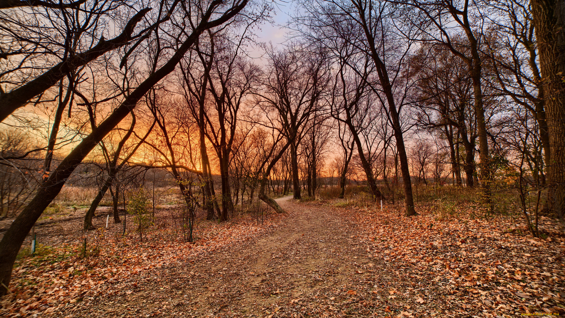 природа, дороги, простор