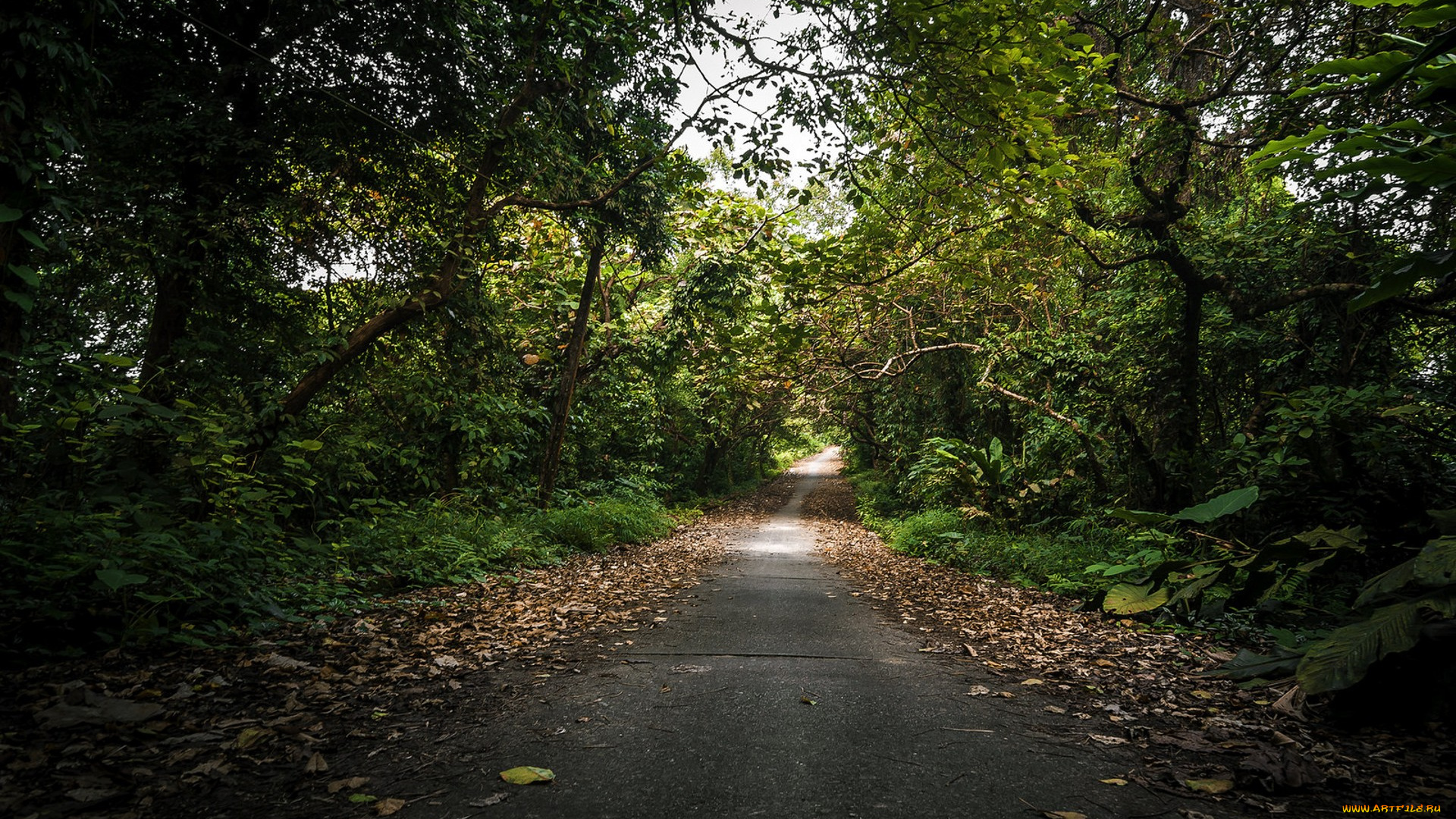 природа, дороги, простор