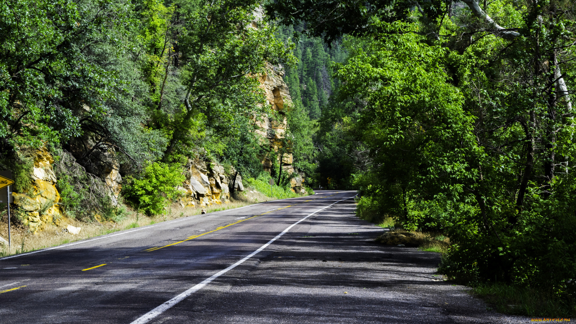 природа, дороги, простор