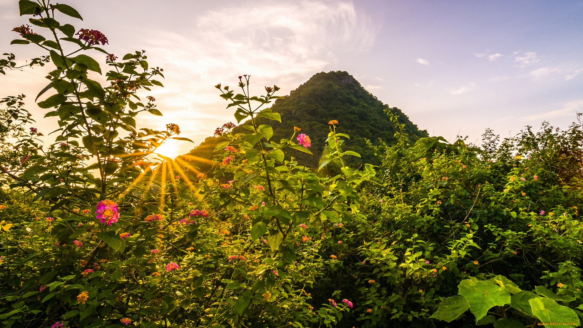 природа, горы, простор