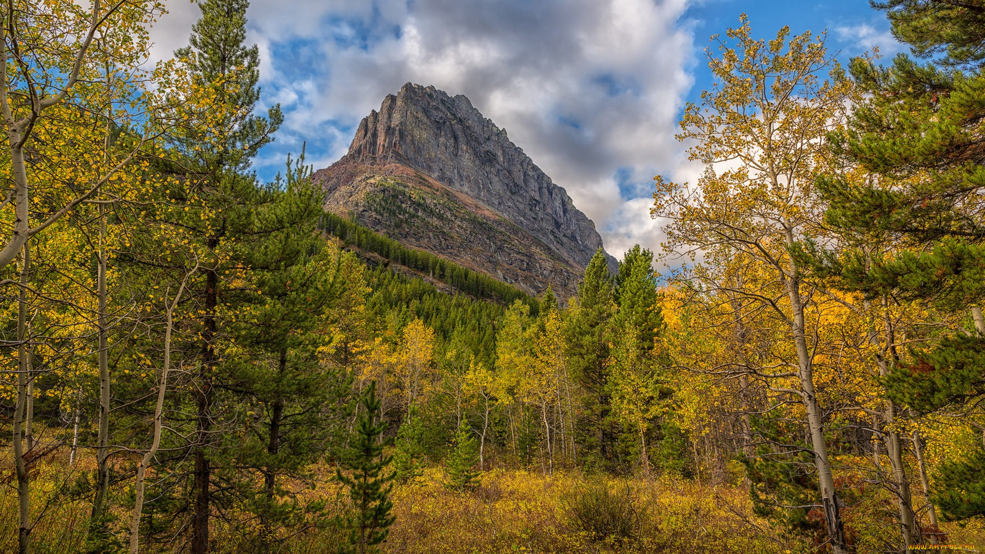 природа, горы, простор