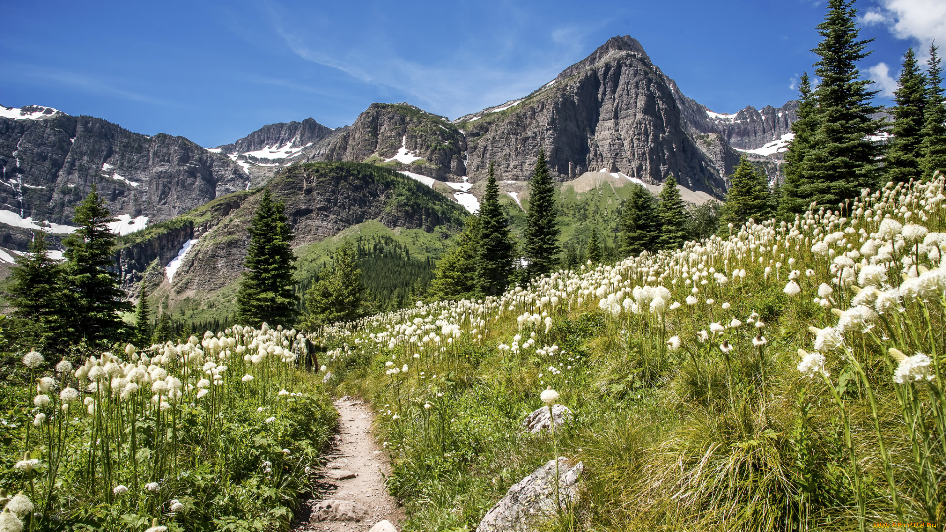 природа, горы, простор