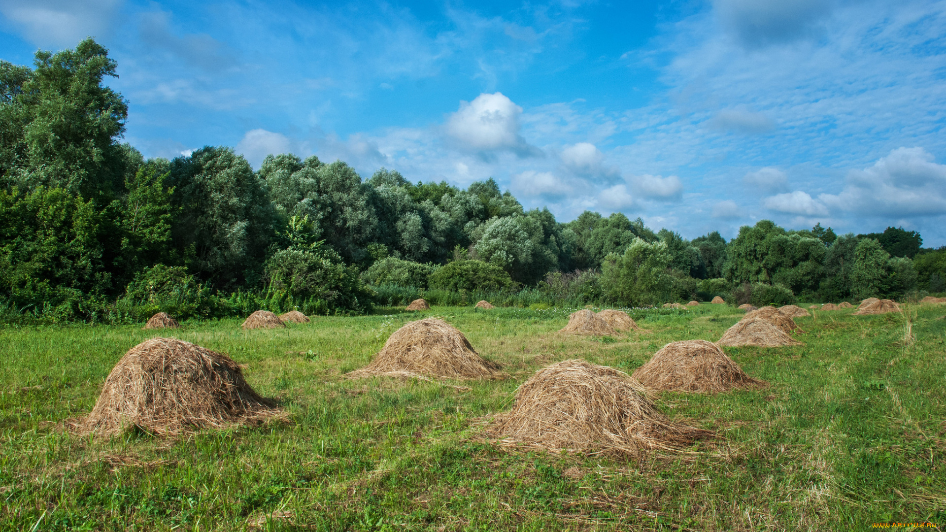 природа, пейзажи, простор