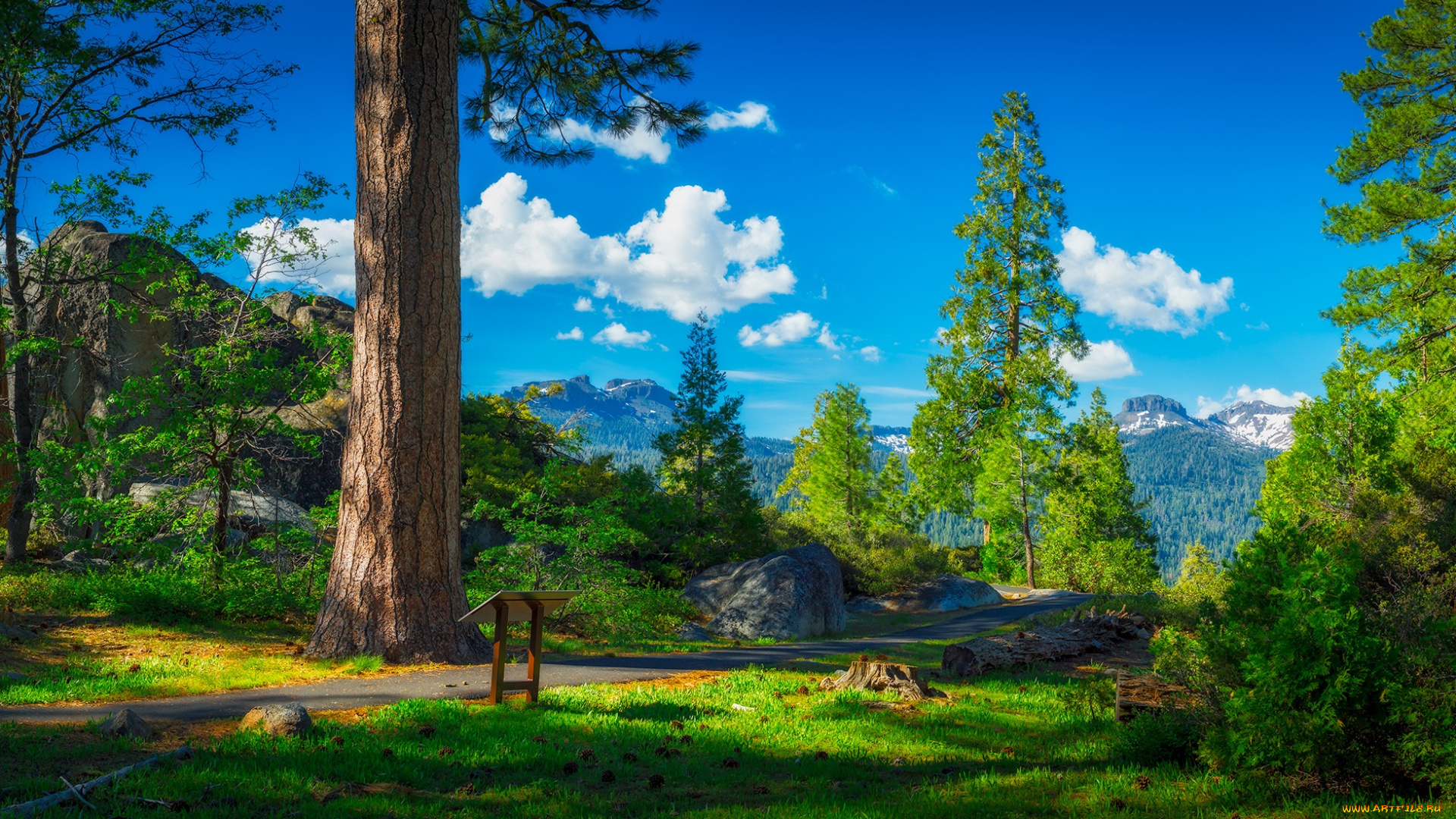 природа, пейзажи, простор