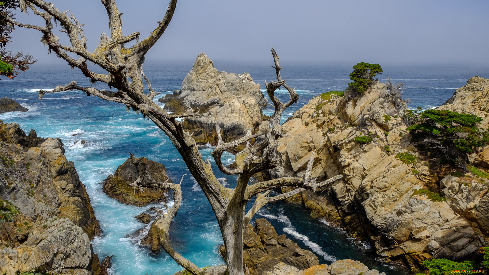 природа, побережье, простор