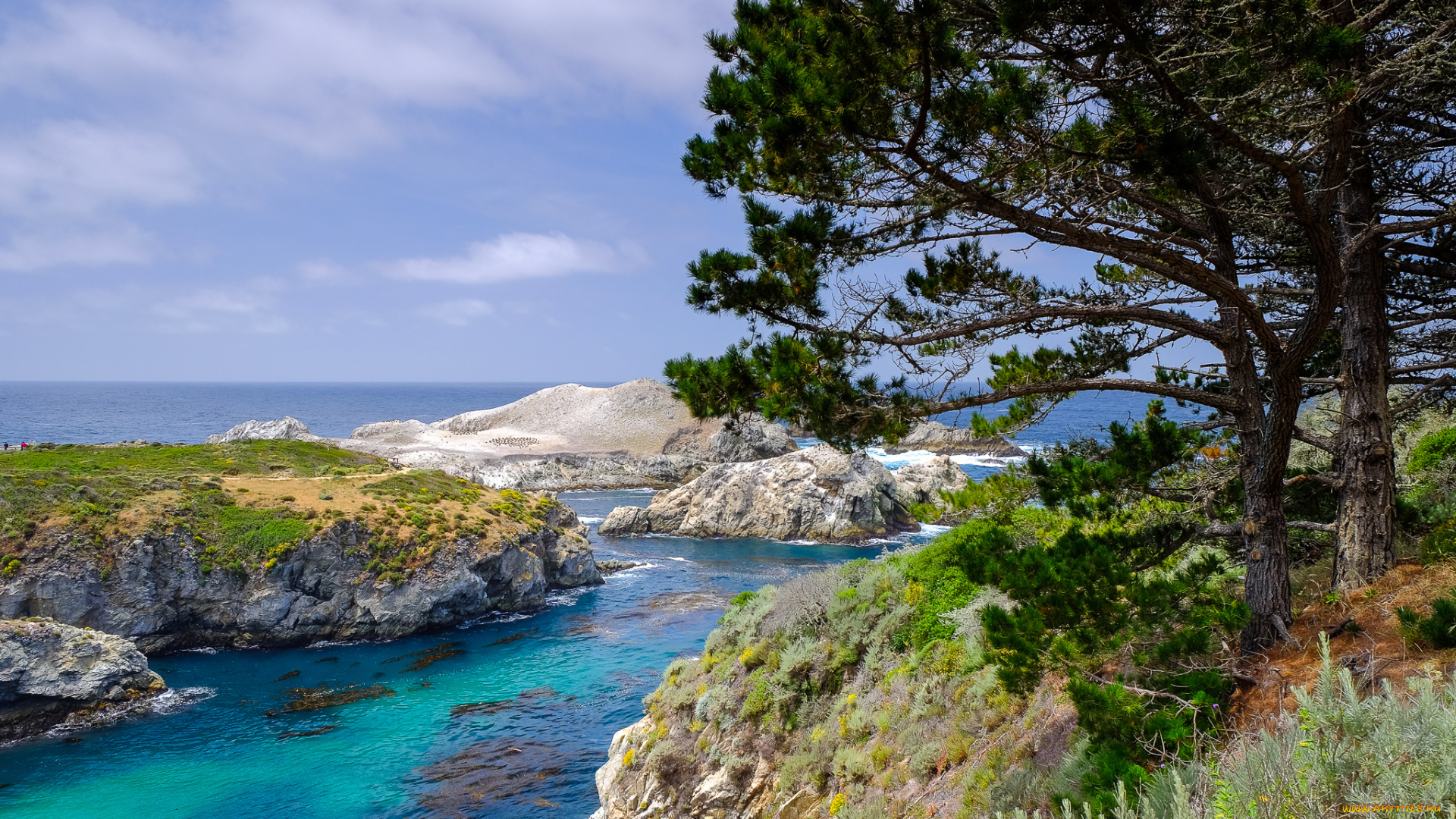 природа, побережье, простор