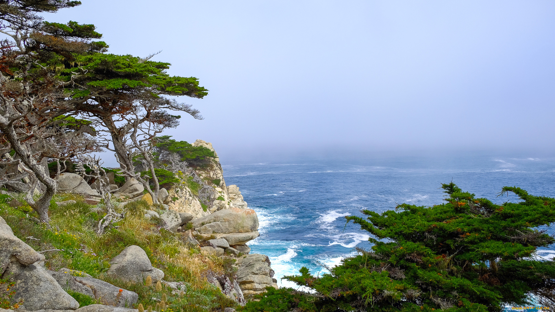 природа, побережье, простор