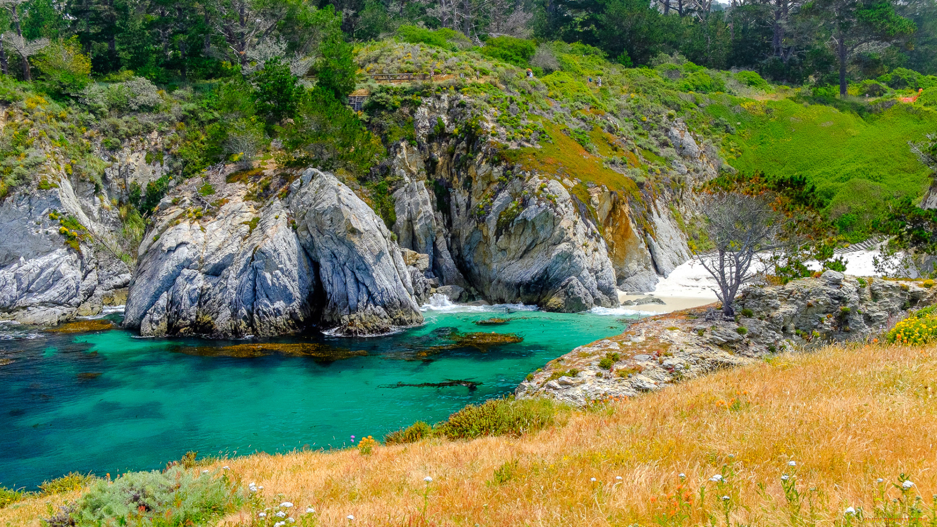 природа, реки, озера, простор