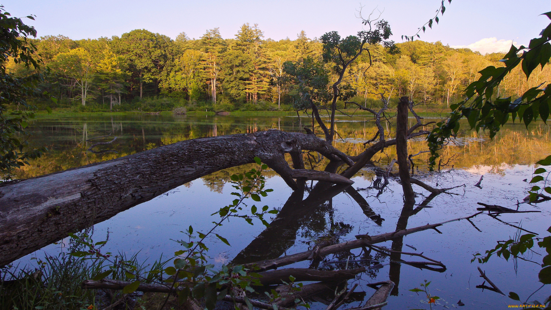 природа, реки, озера, простор