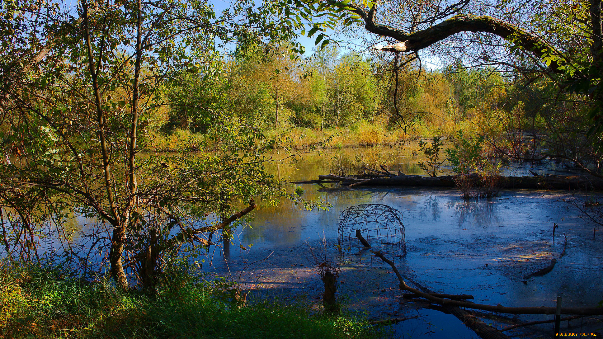 природа, реки, озера, простор
