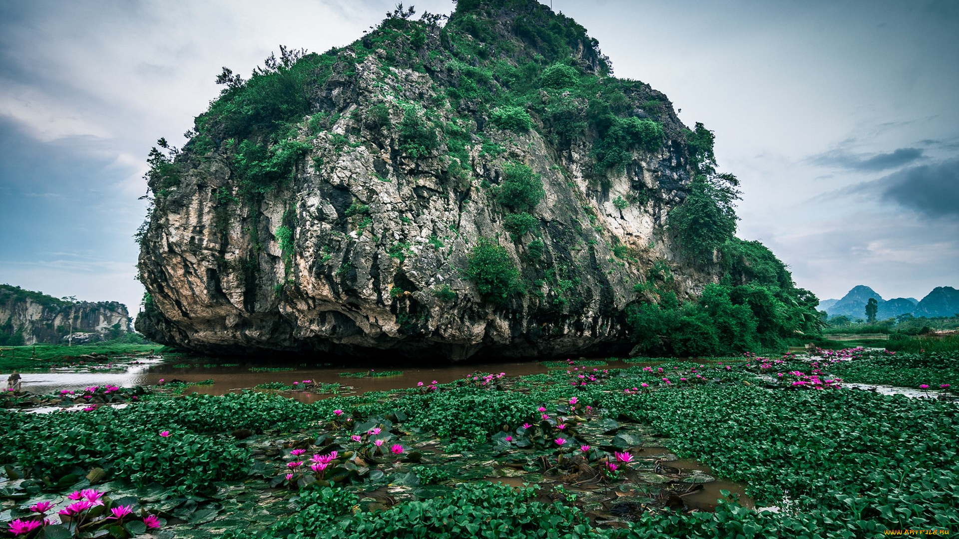 природа, реки, озера, простор