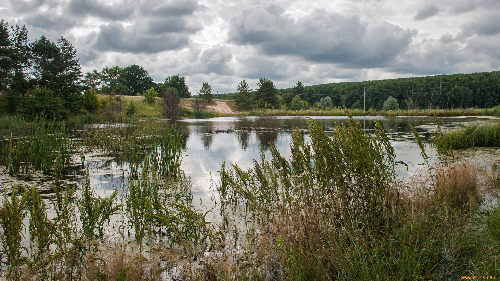 природа, реки, озера, простор