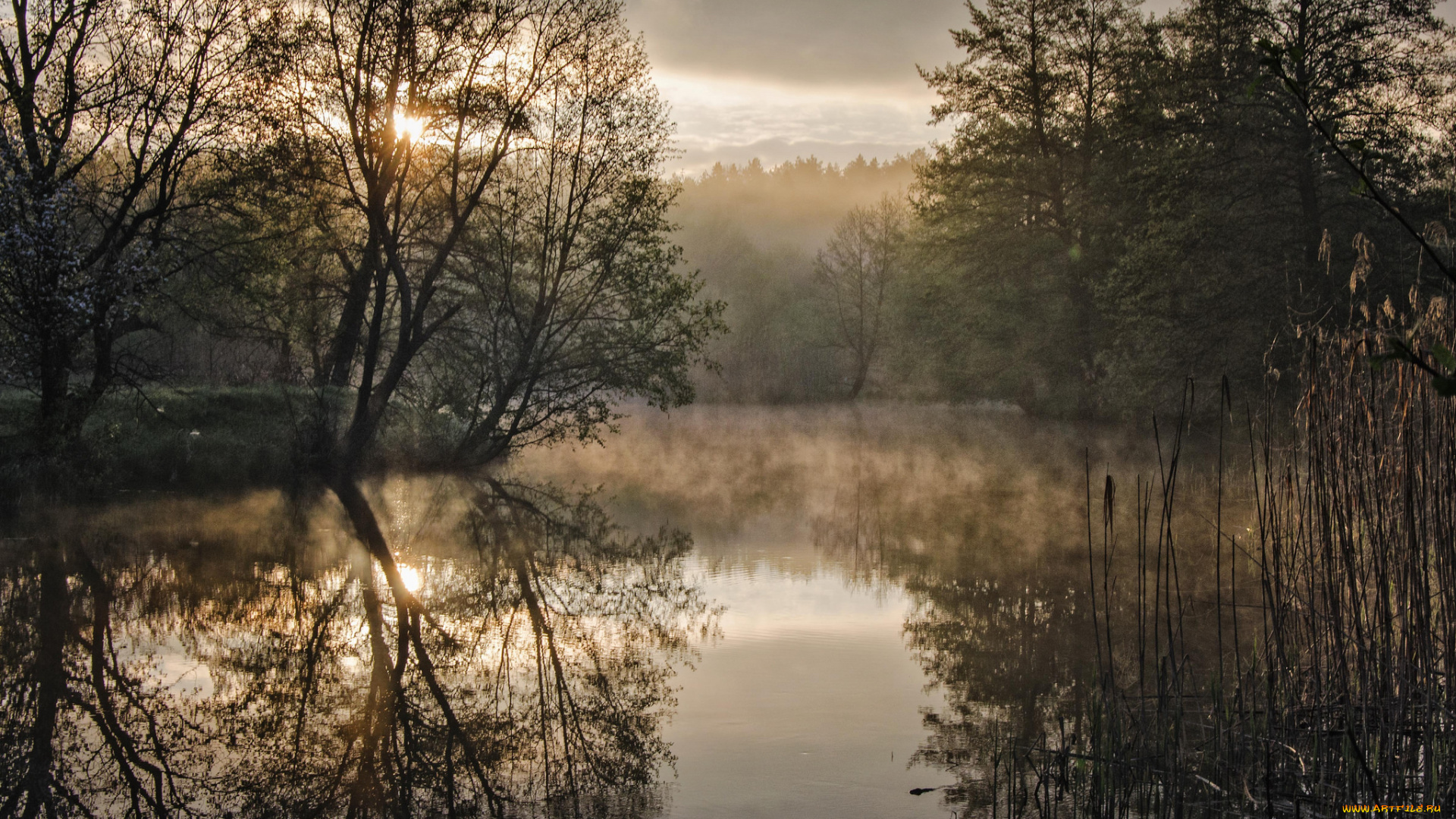 природа, реки, озера, простор