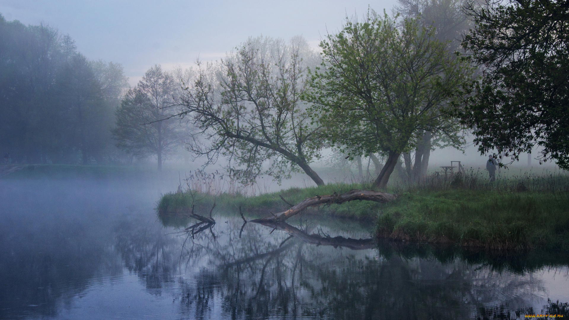 природа, реки, озера, простор