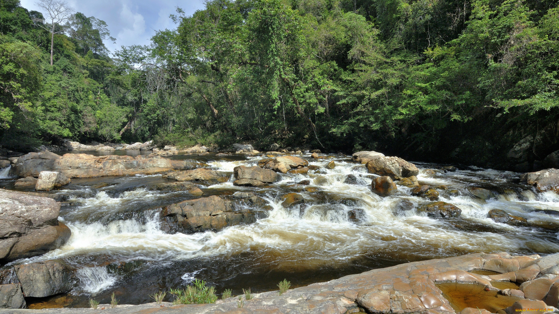 природа, реки, озера, простор