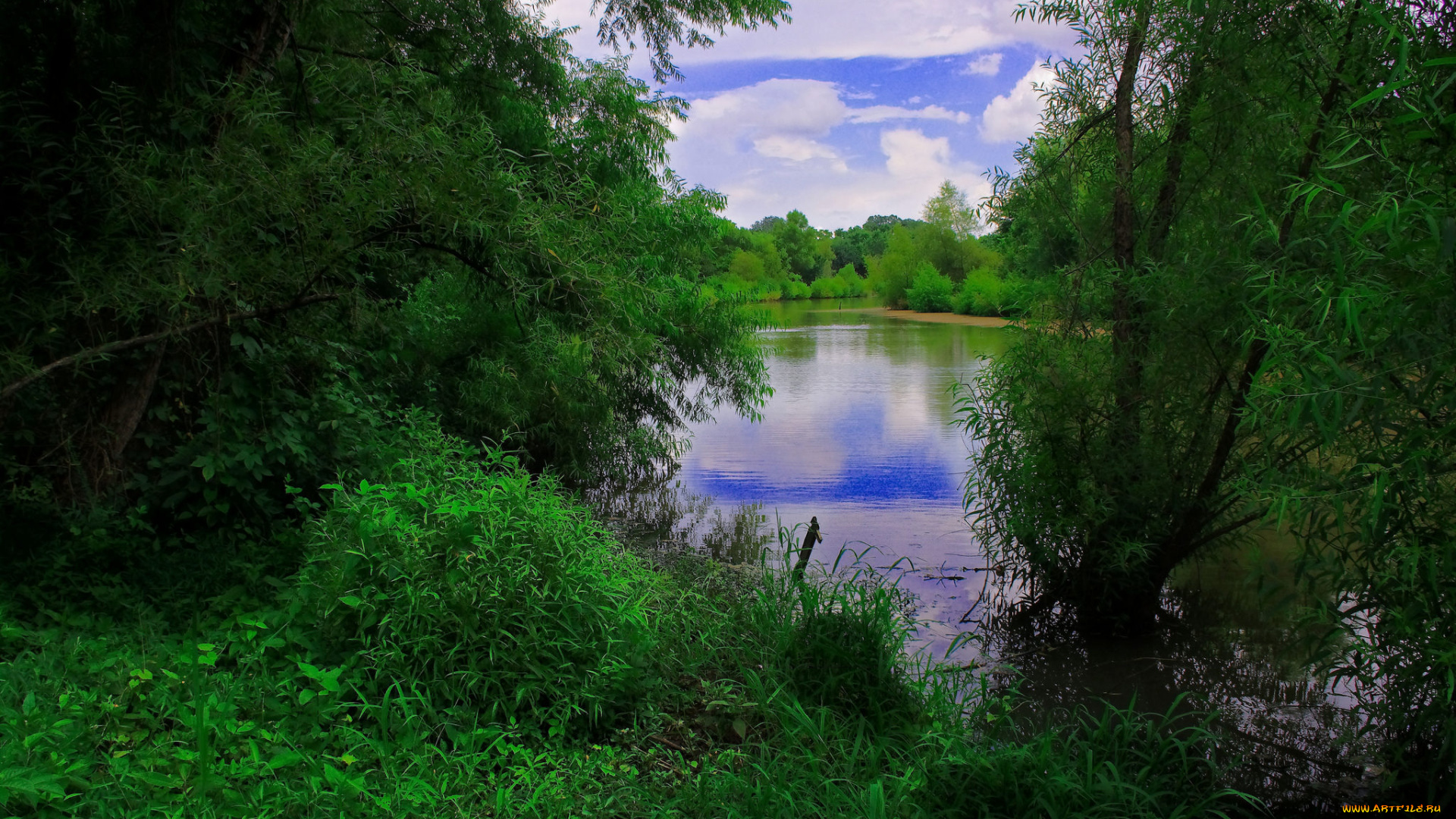 природа, реки, озера, простор