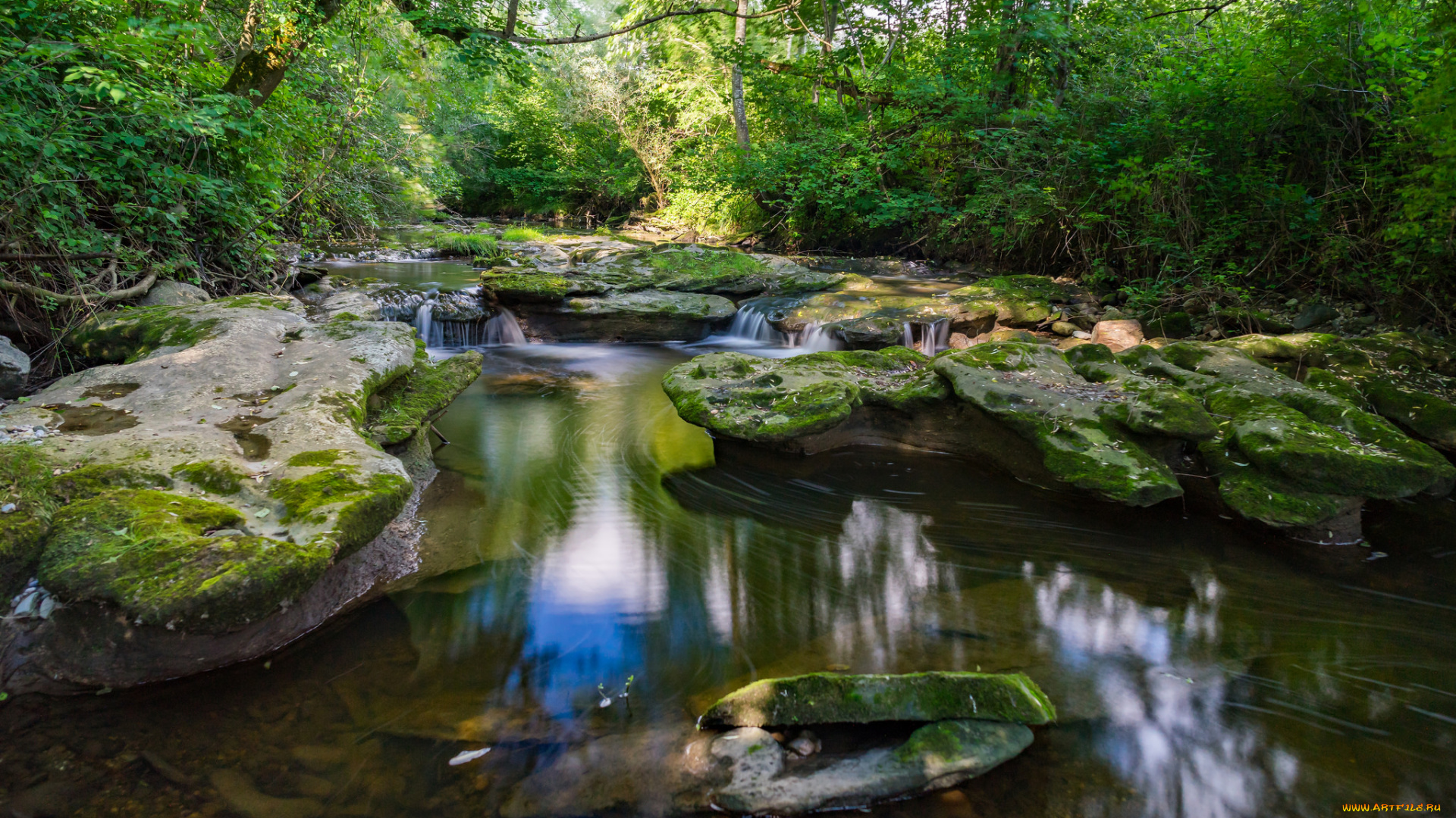 природа, реки, озера, простор