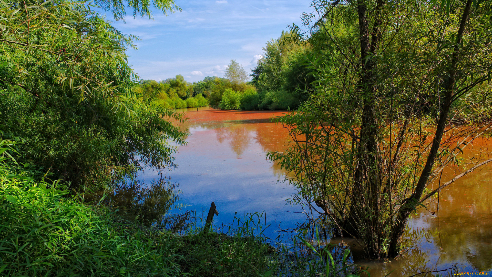 природа, реки, озера, простор