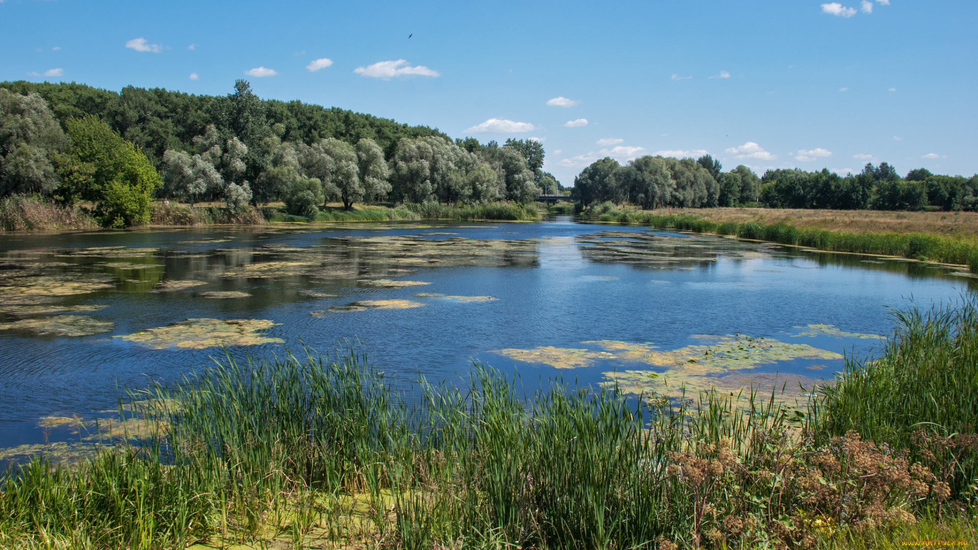 природа, реки, озера, простор