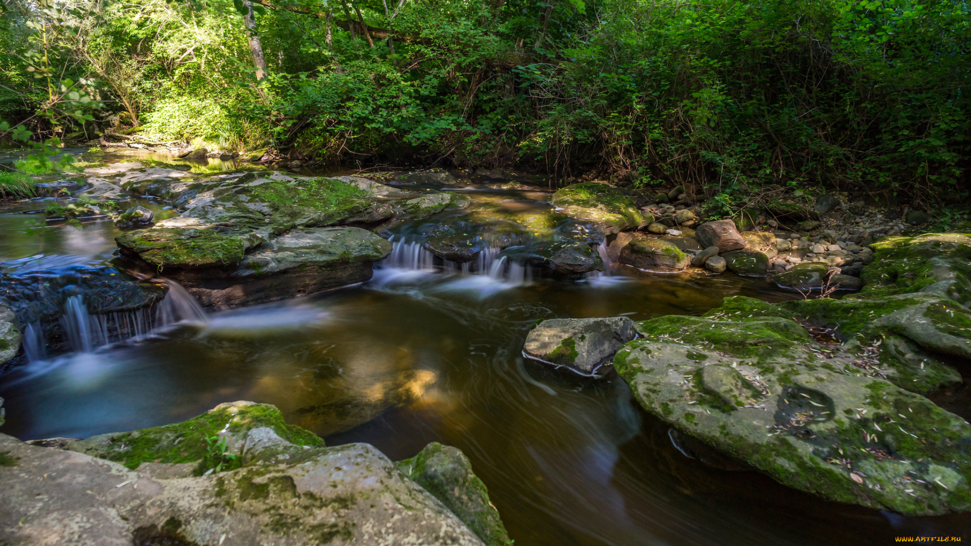природа, реки, озера, простор