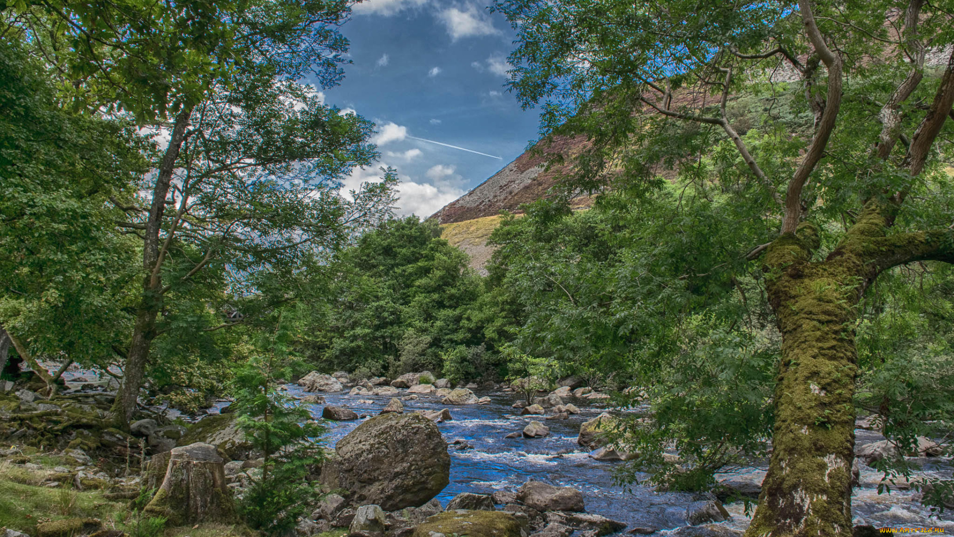 природа, реки, озера, простор