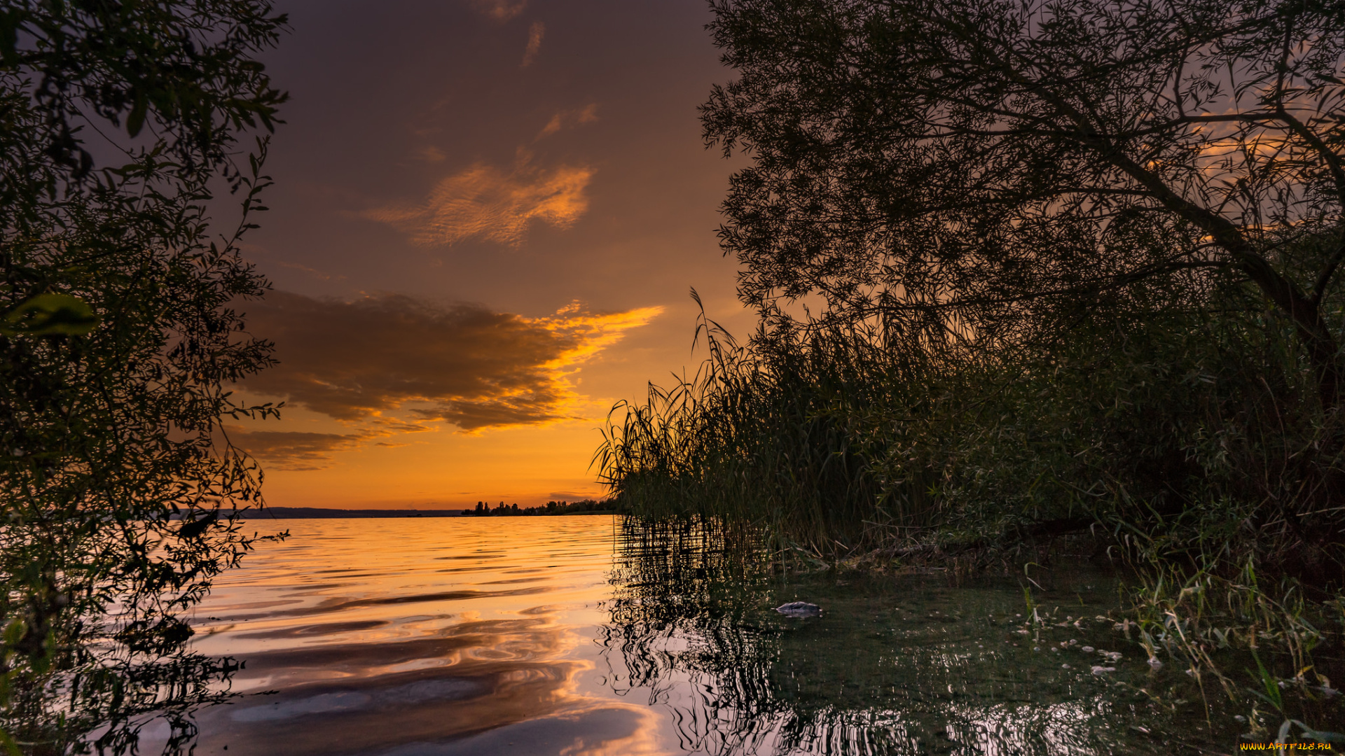 природа, реки, озера, простор