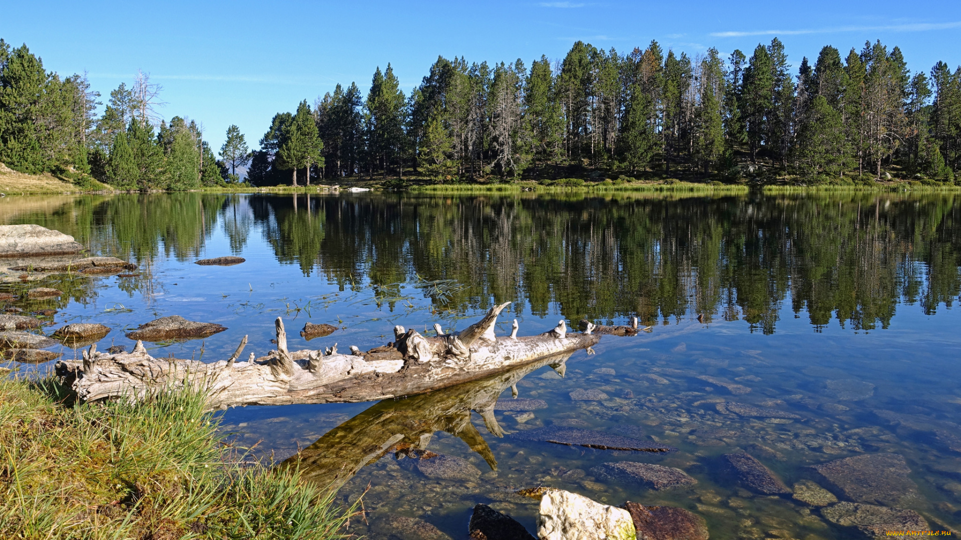 природа, реки, озера, простор