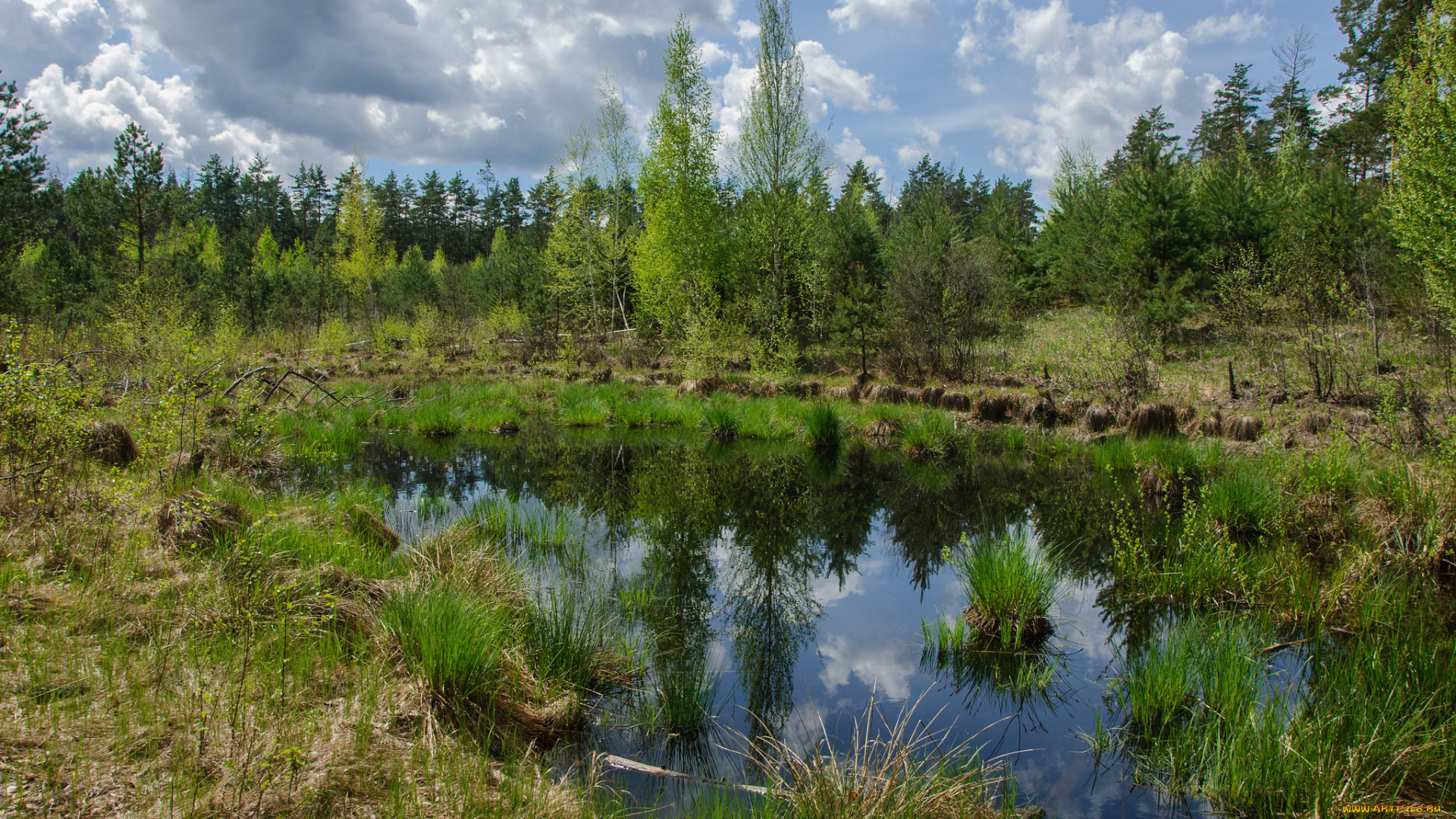 природа, реки, озера, простор