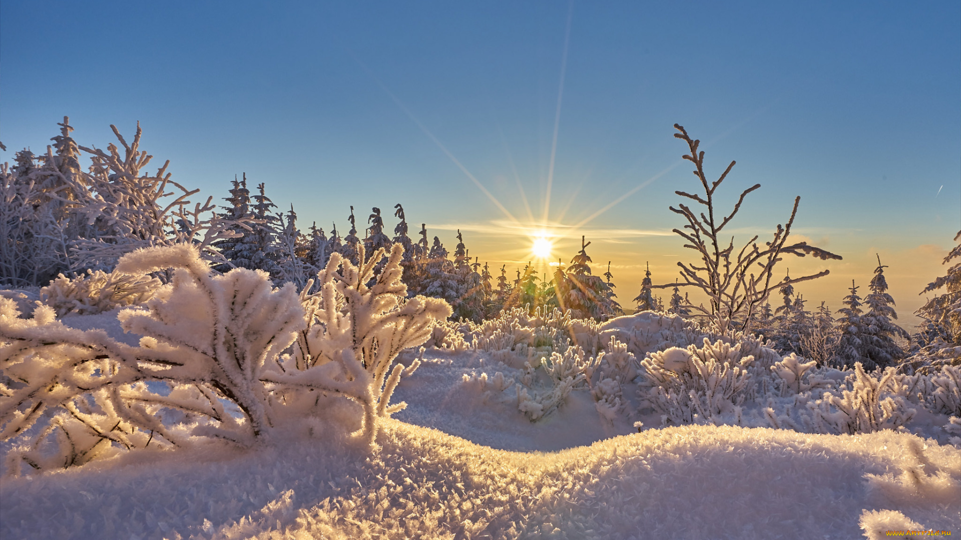 природа, зима, простор