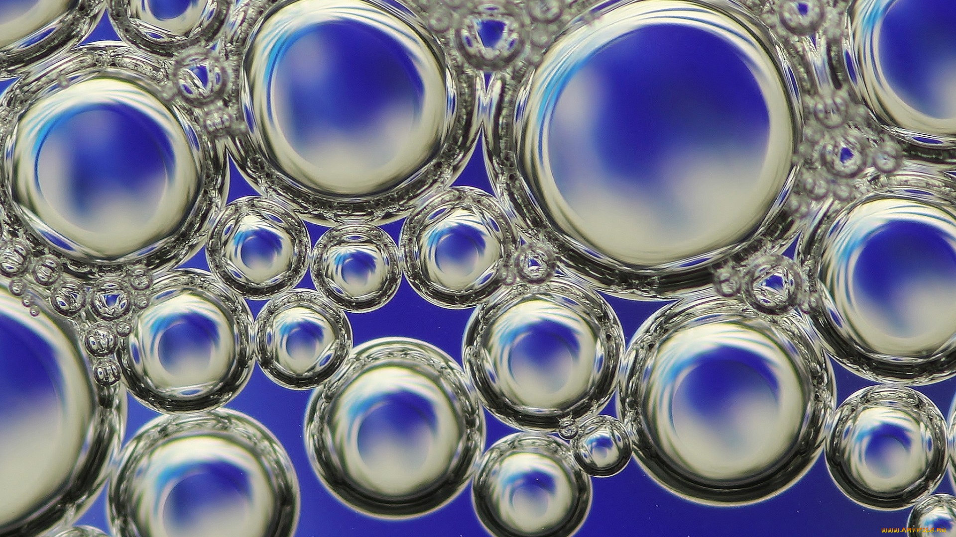 разное, капли, , брызги, , всплески, воздух, пузырьки, объем, вода, круг, макро