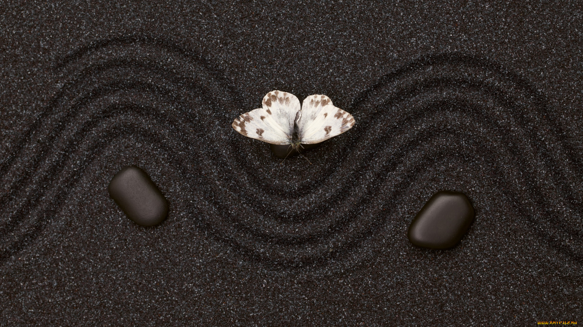 разное, текстуры, камень, бабочка, текстура, узор, песок