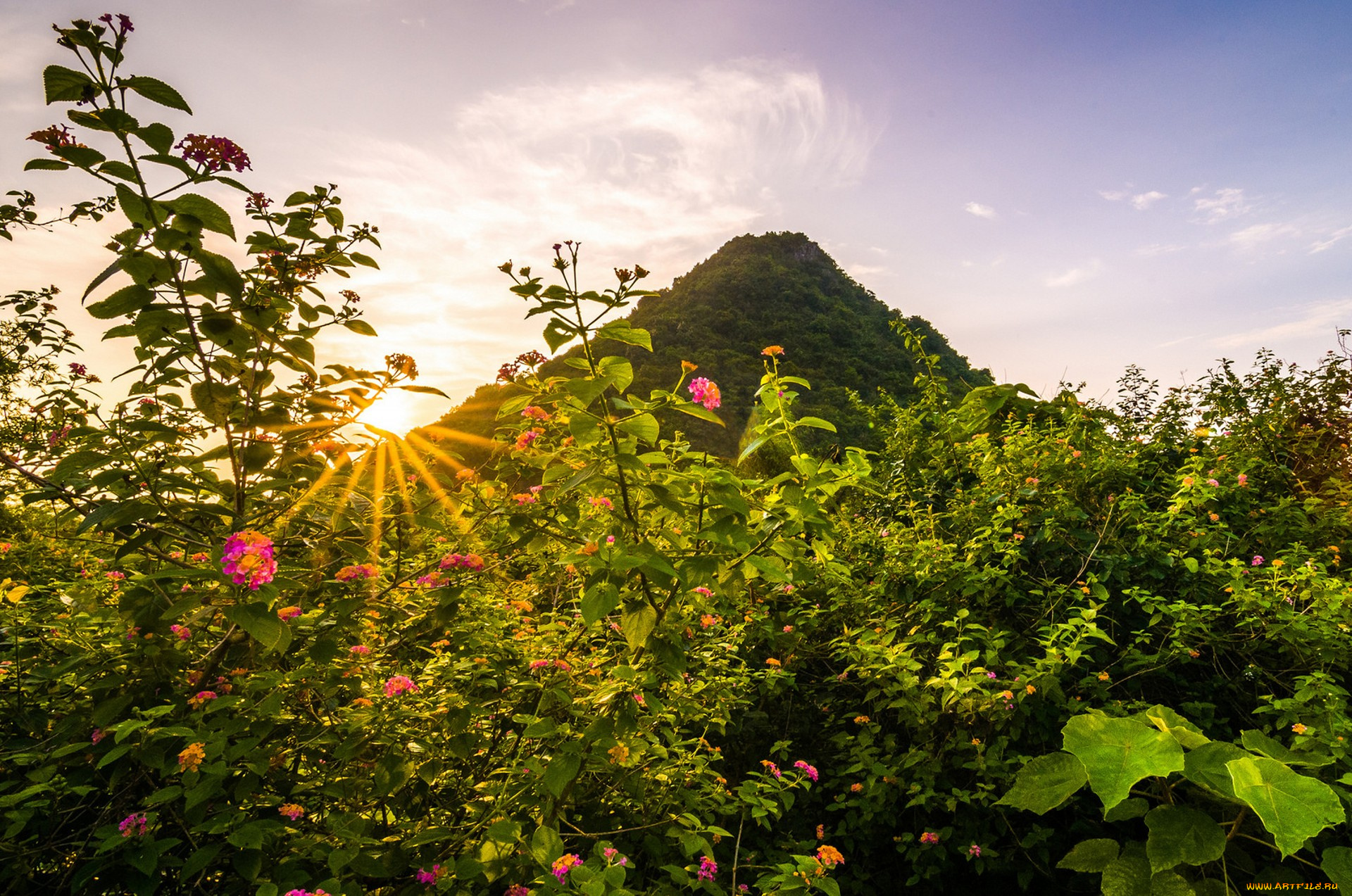 природа, горы, простор