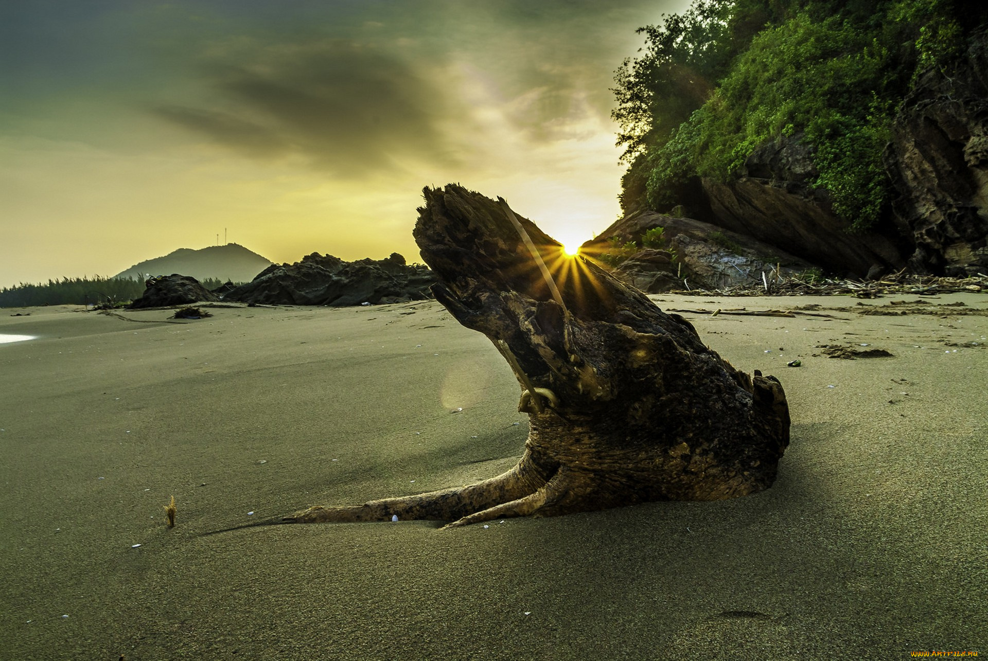 природа, побережье, простор