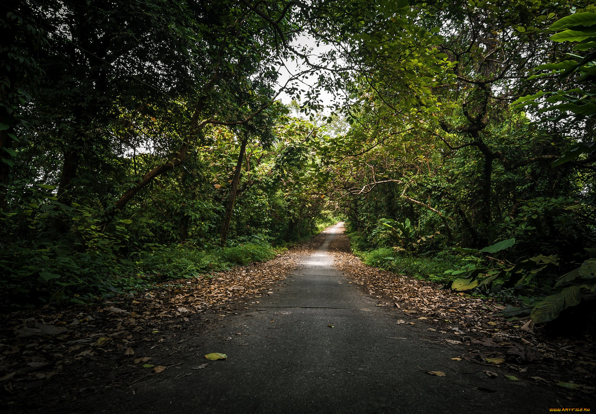 природа, дороги, простор