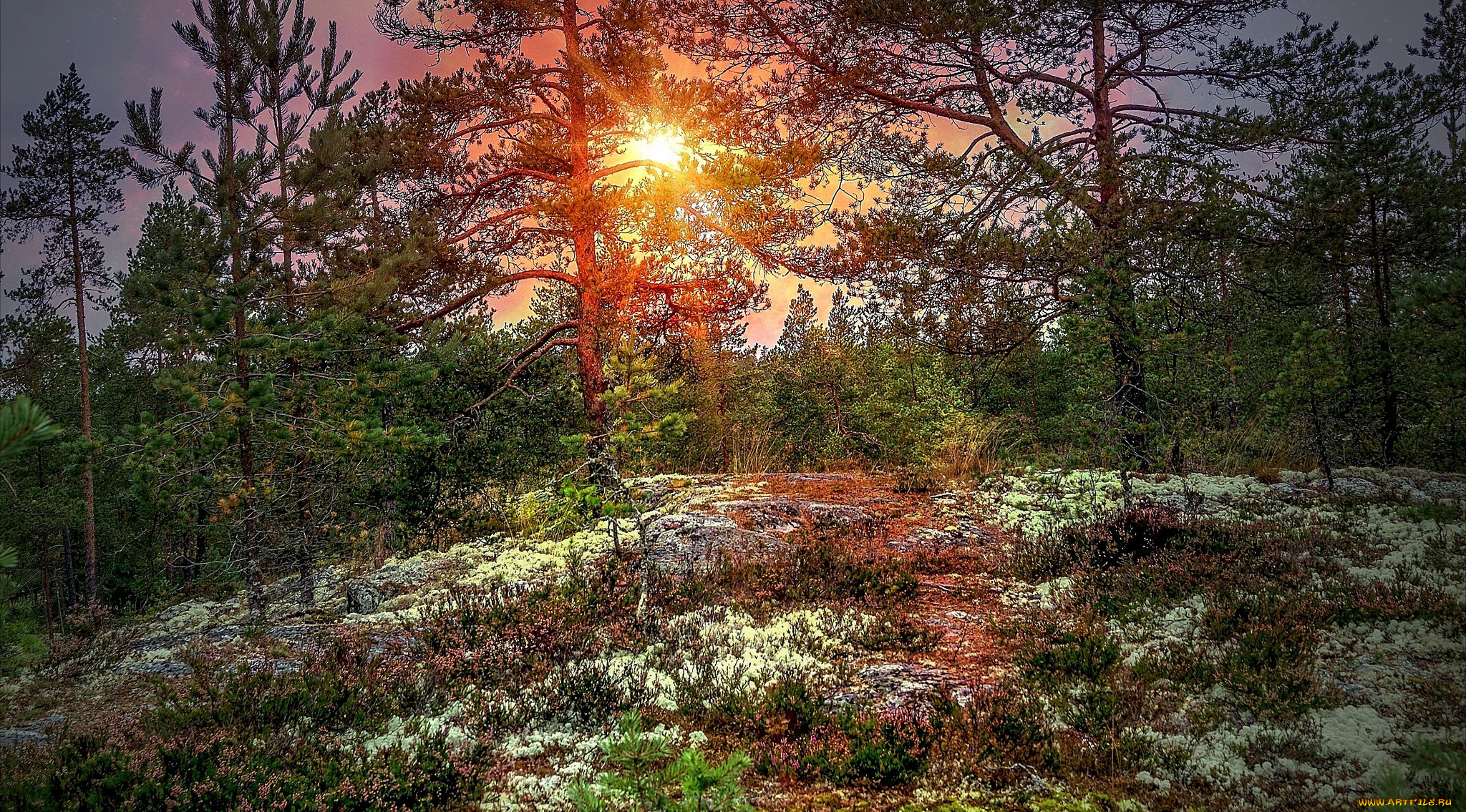 природа, восходы, закаты, простор