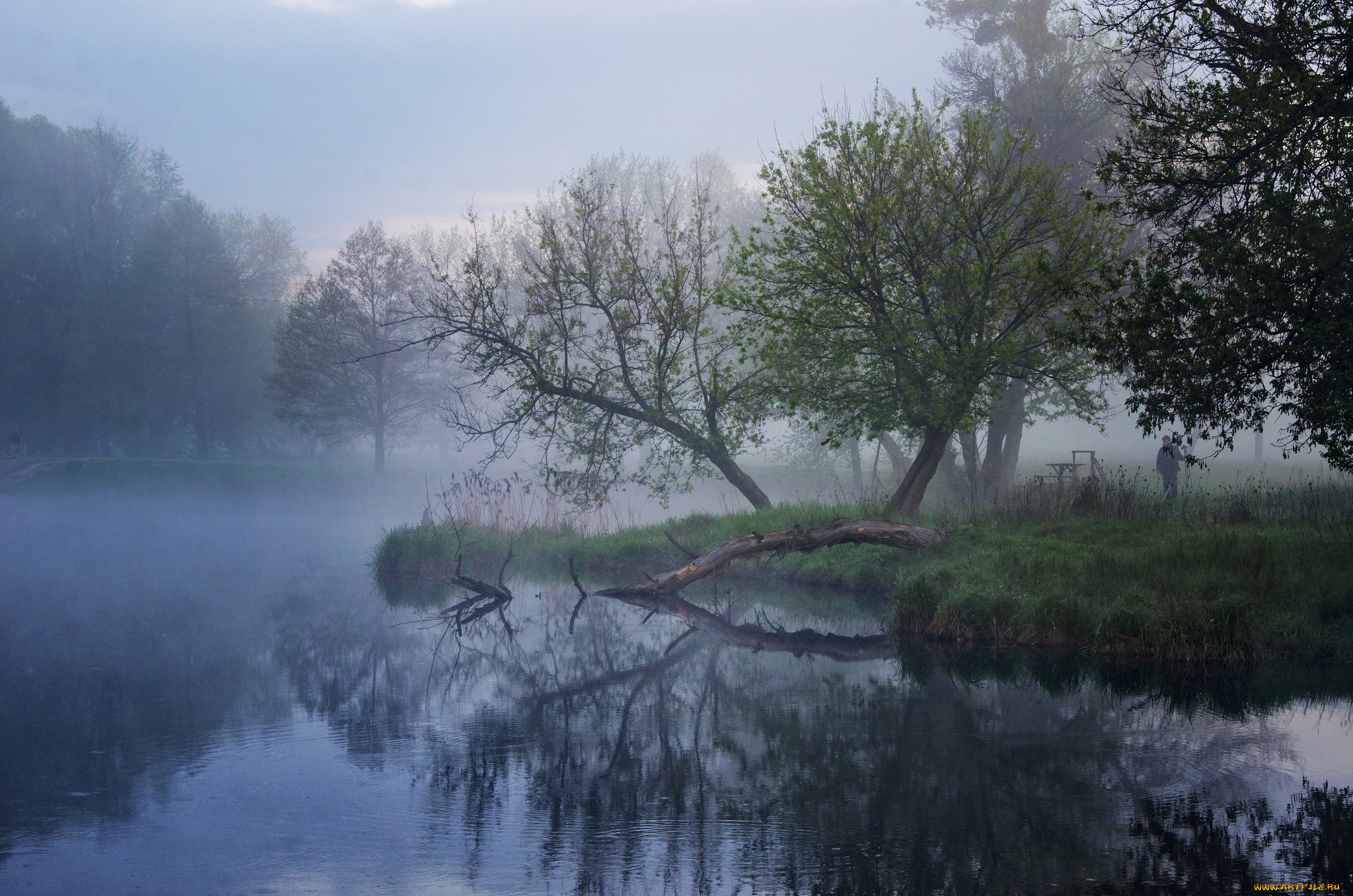 природа, реки, озера, простор