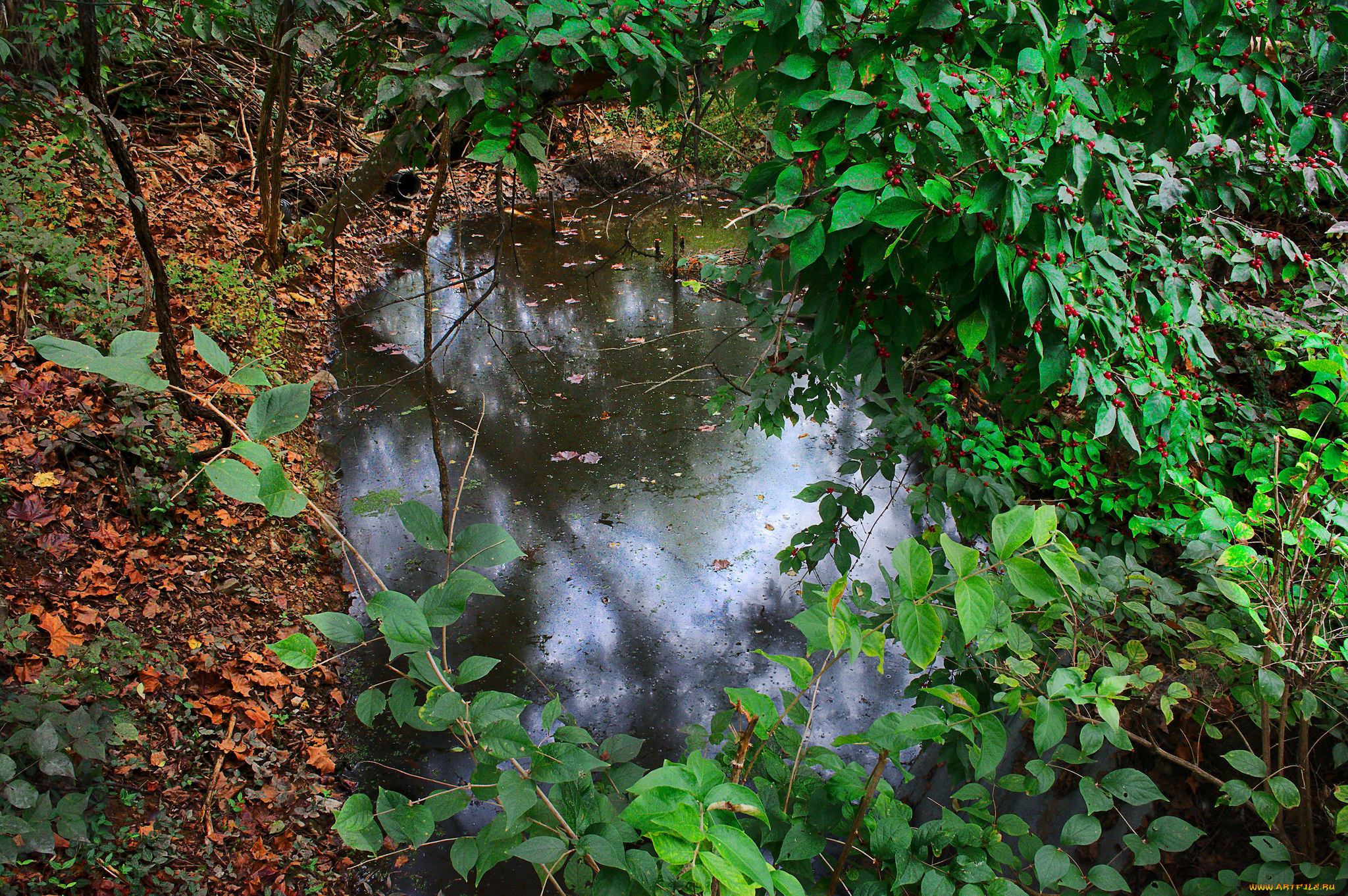 природа, реки, озера, простор