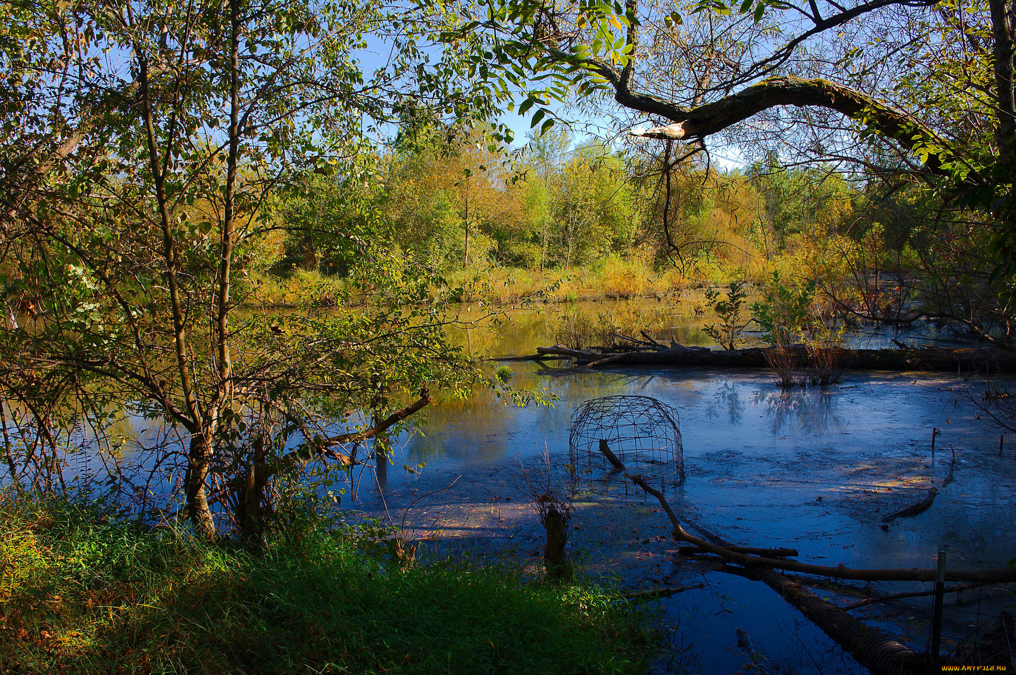 природа, реки, озера, простор