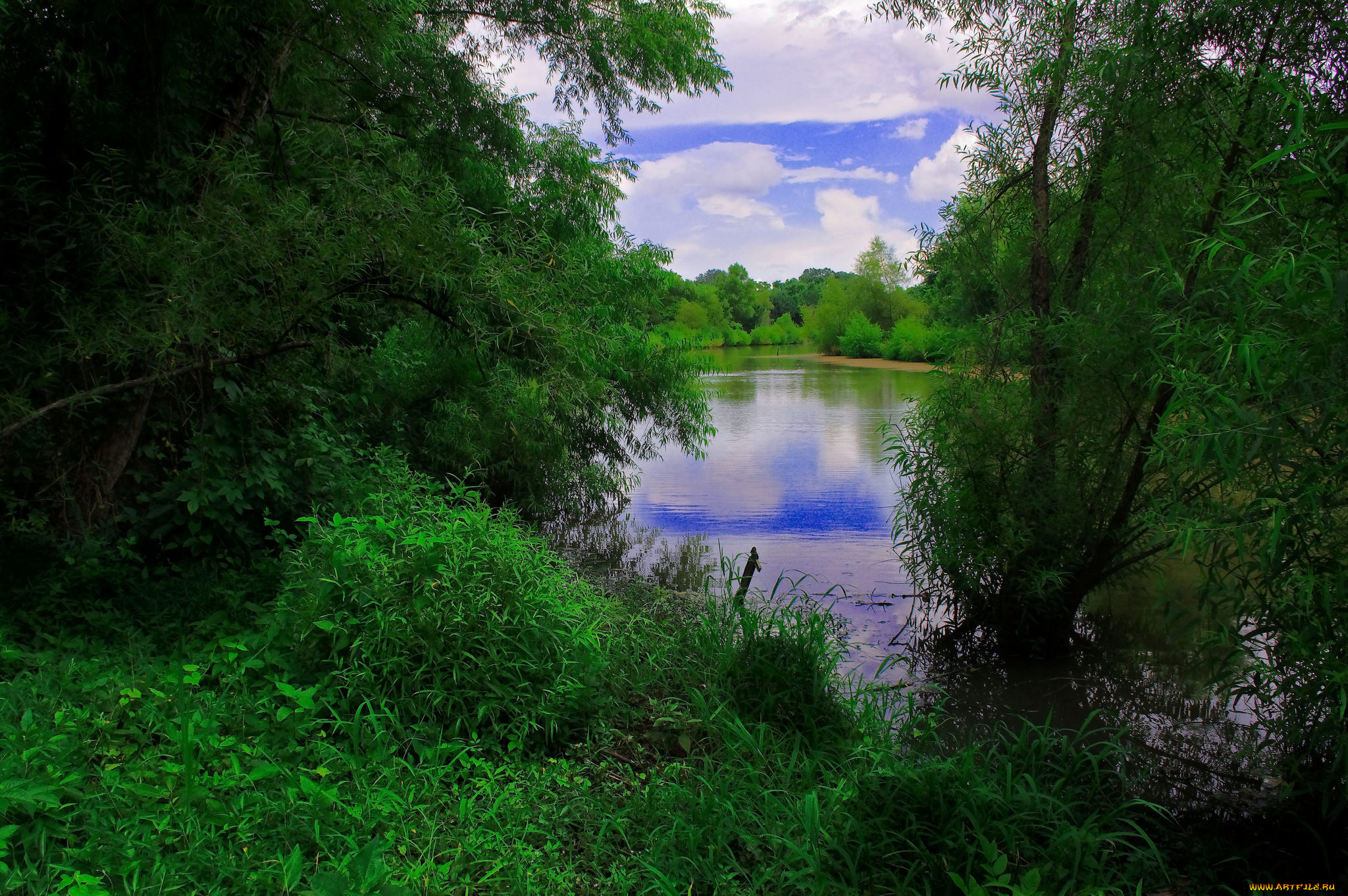 природа, реки, озера, простор