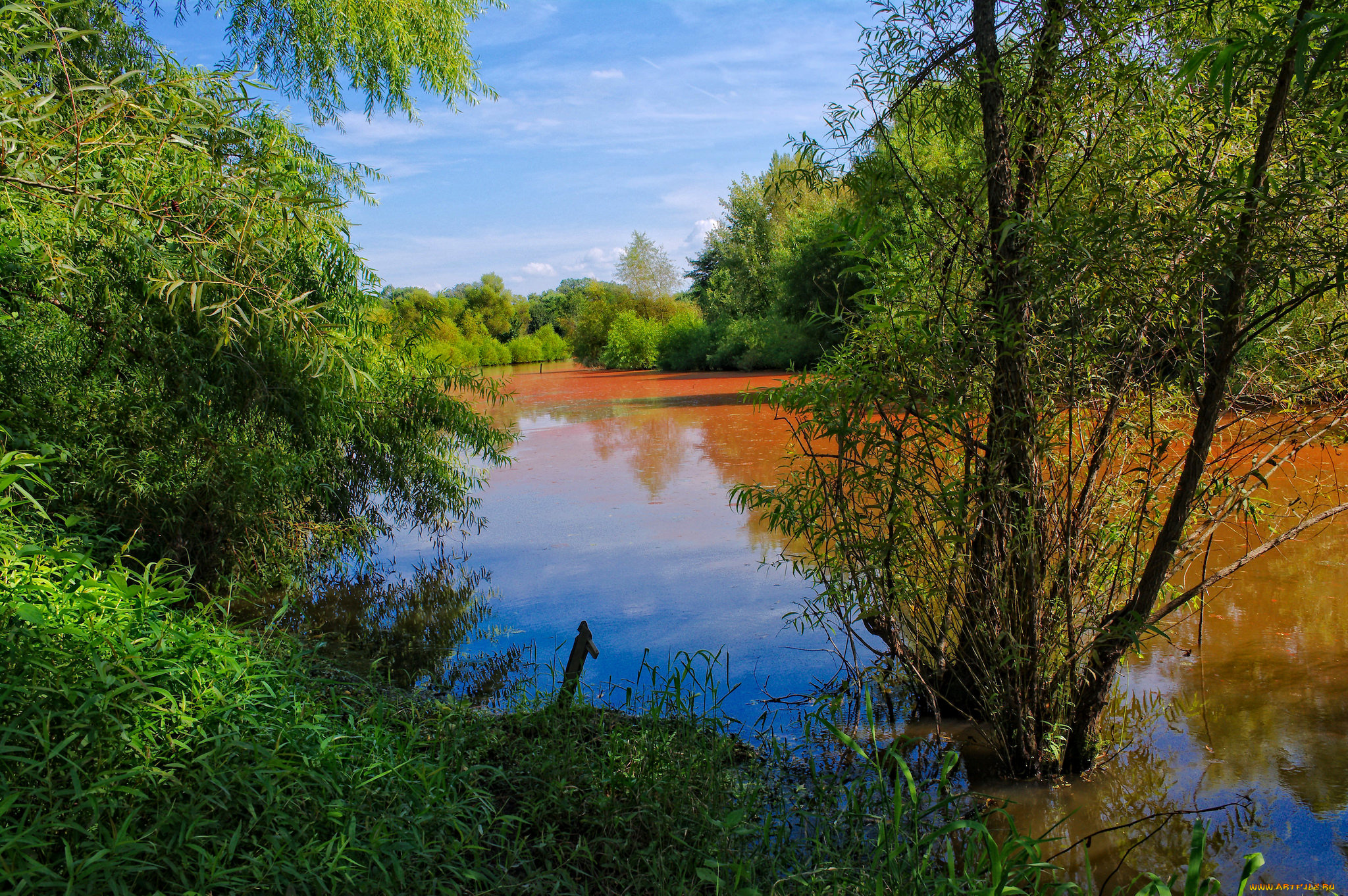 природа, реки, озера, простор