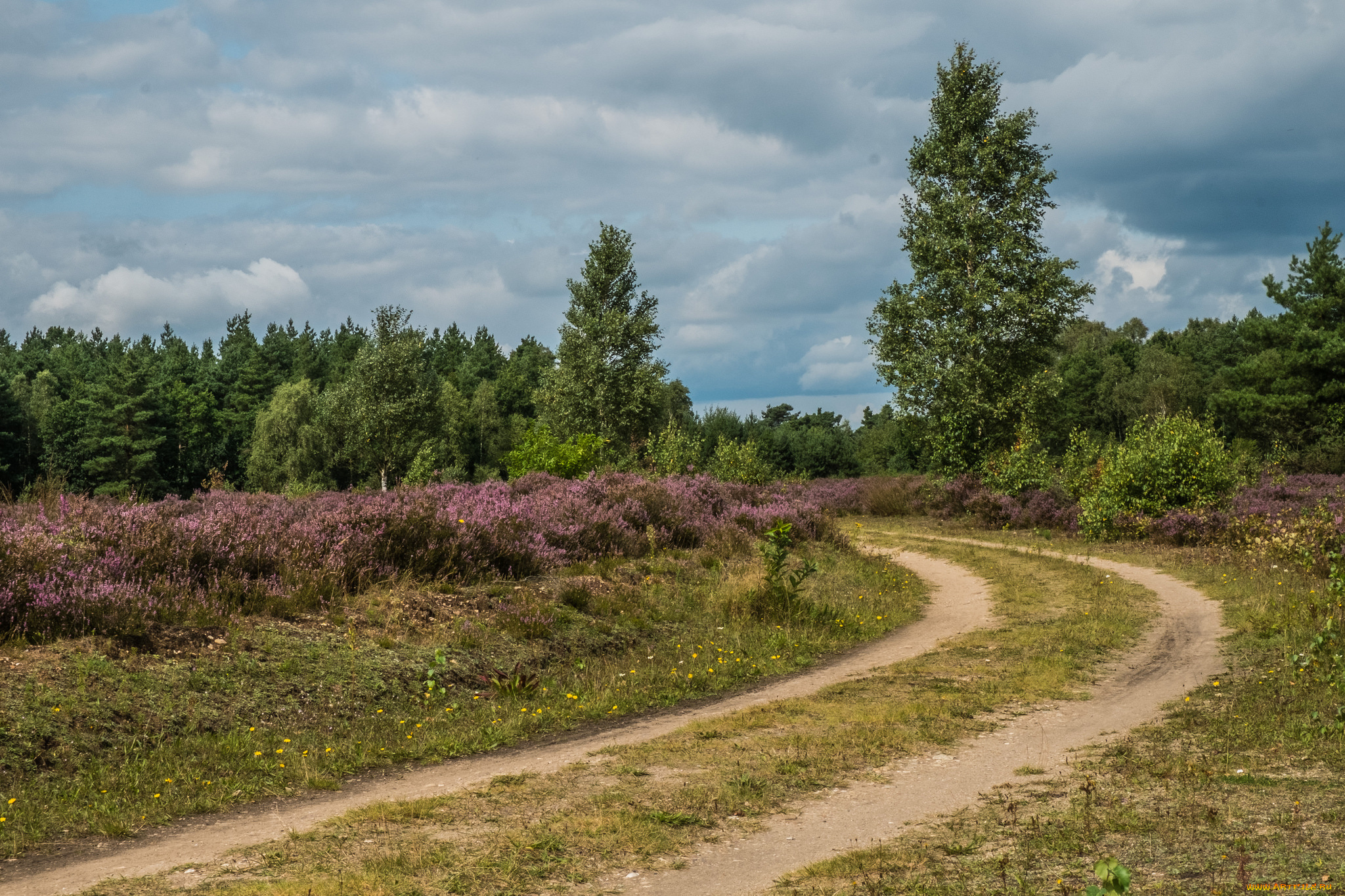 природа, дороги, простор