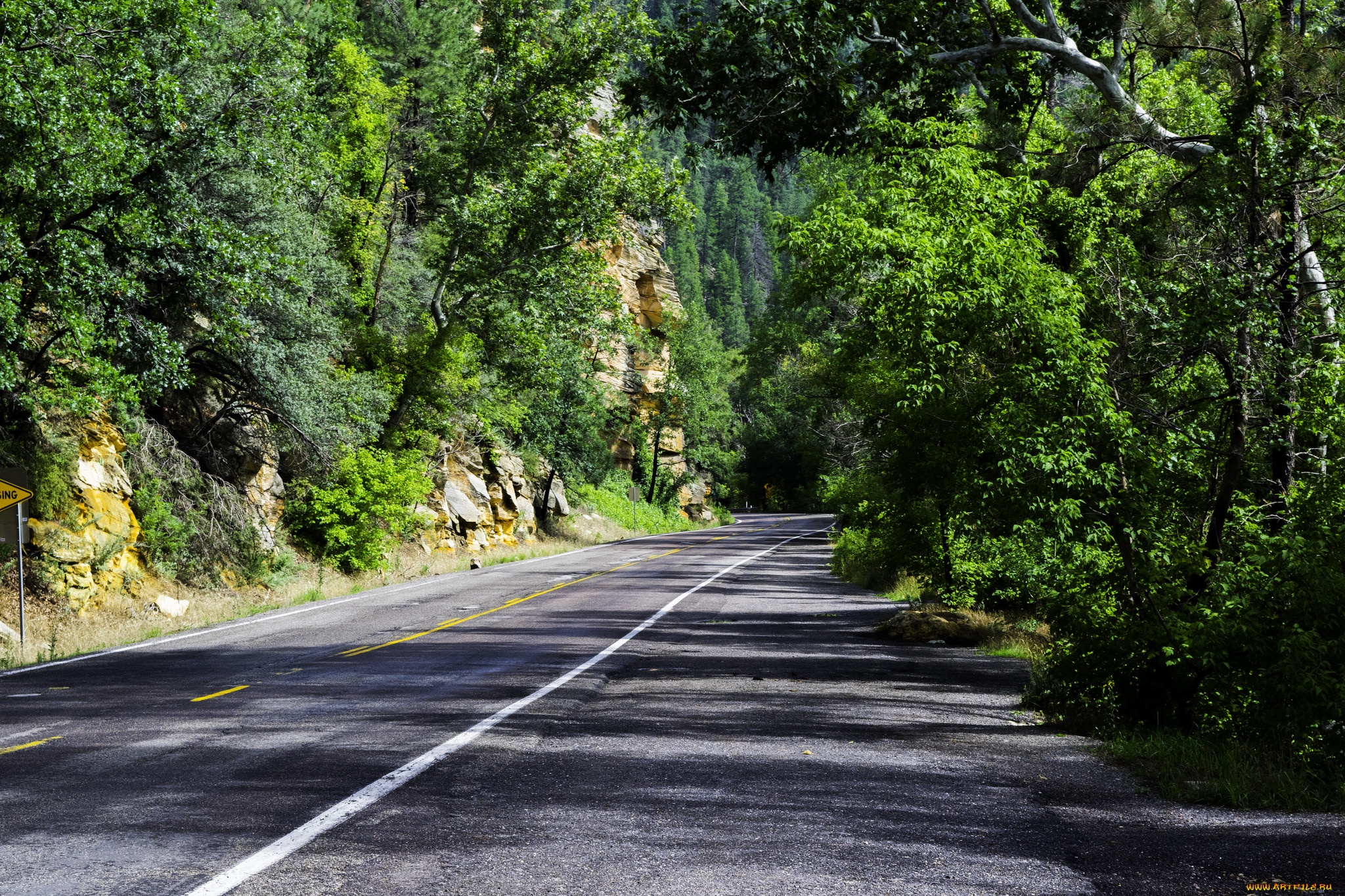 природа, дороги, простор