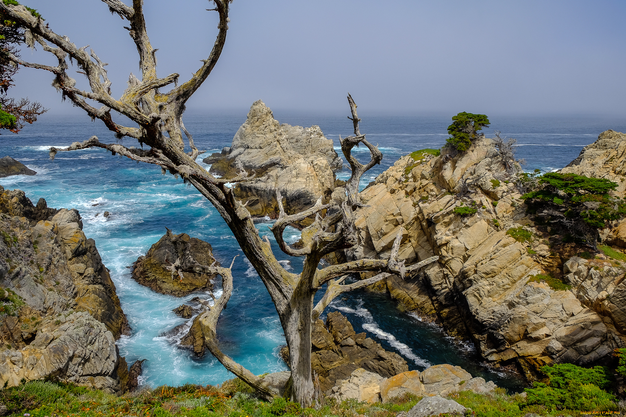 природа, побережье, простор