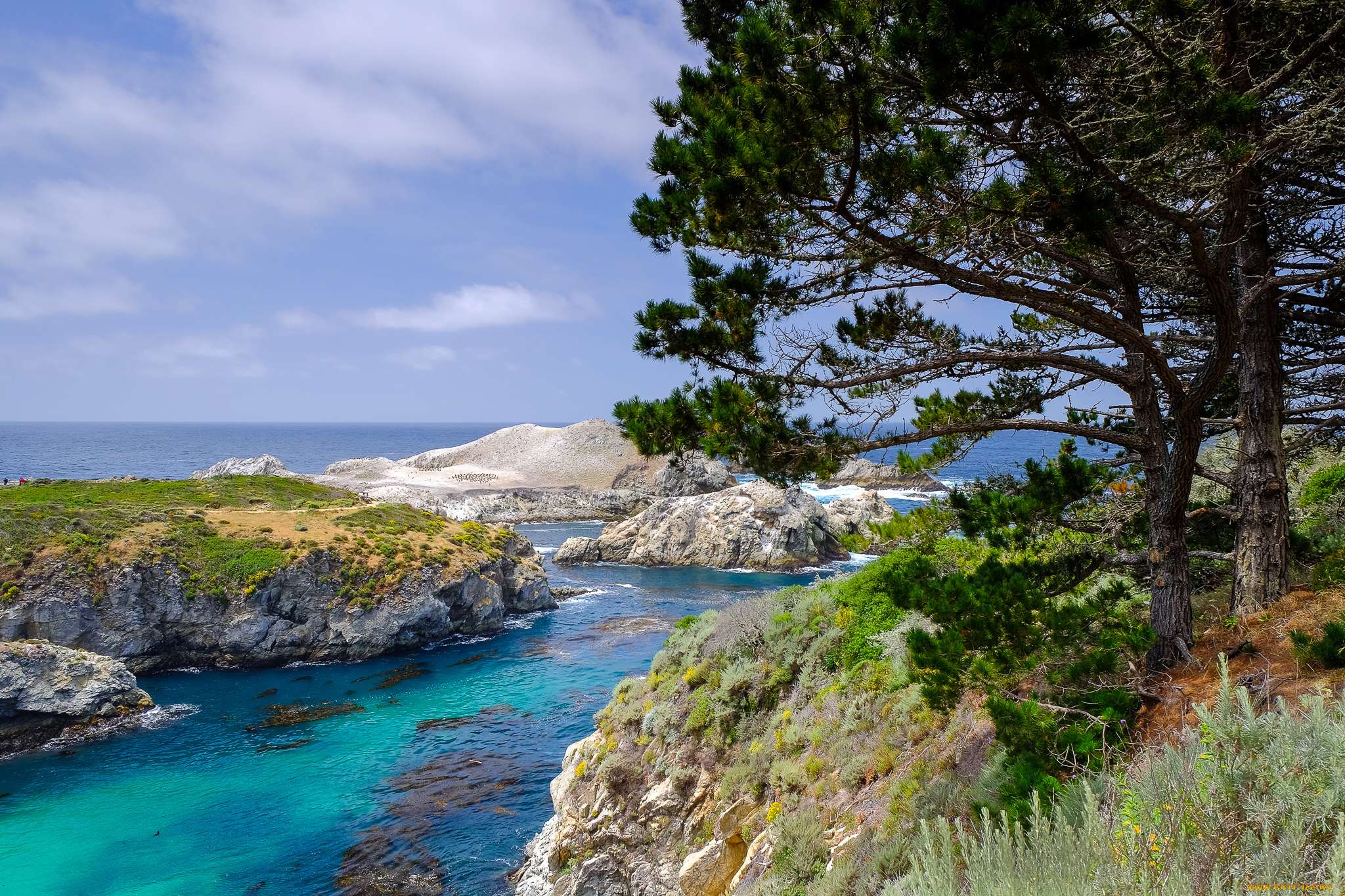 природа, побережье, простор