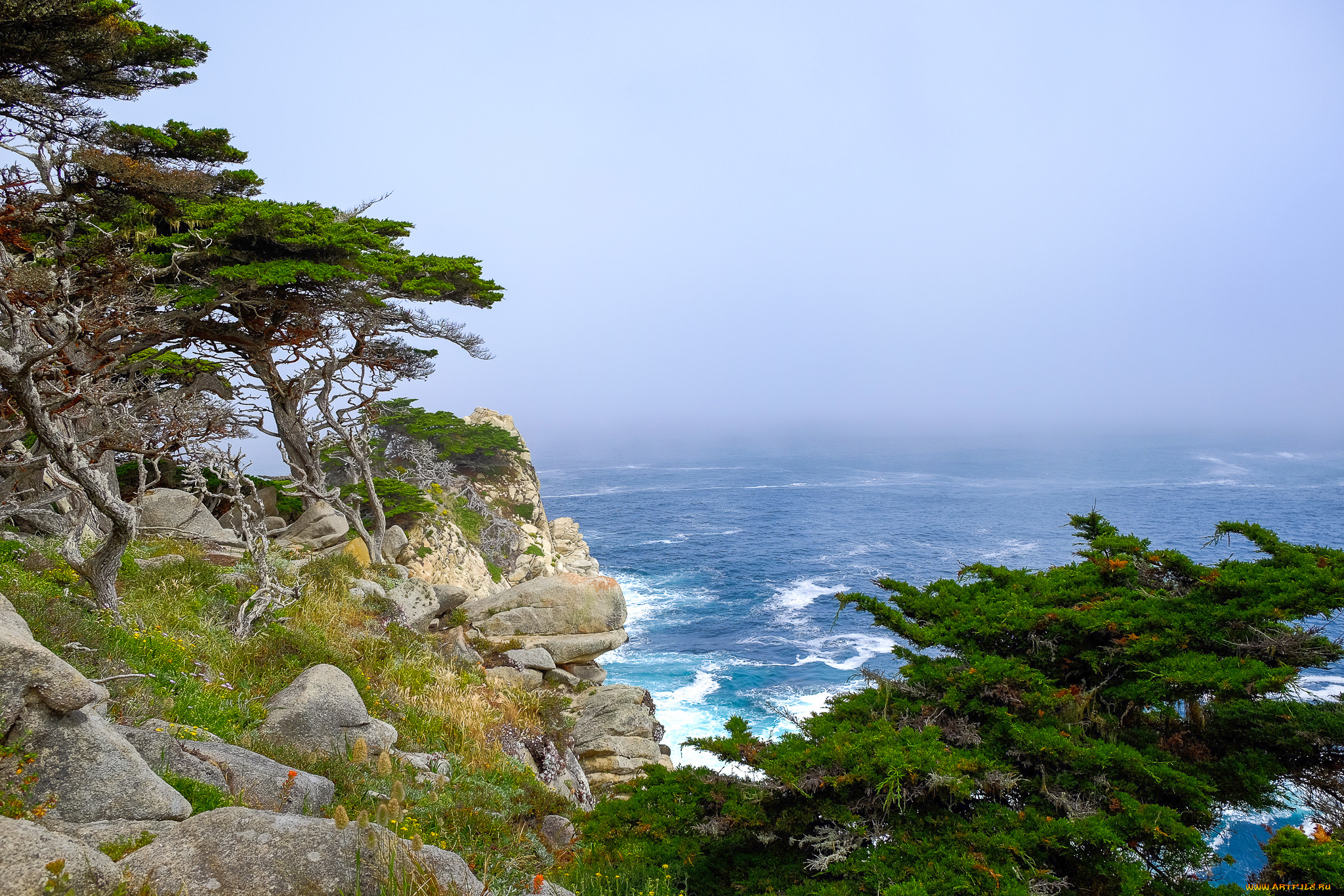 природа, побережье, простор