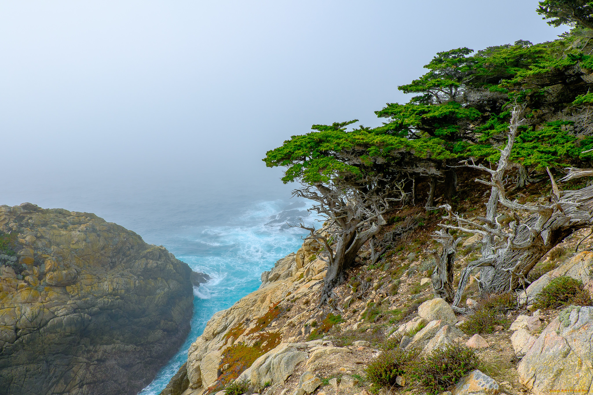 природа, побережье, простор