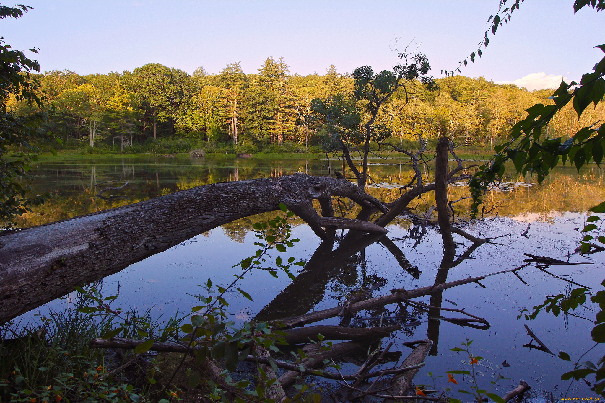 природа, реки, озера, простор