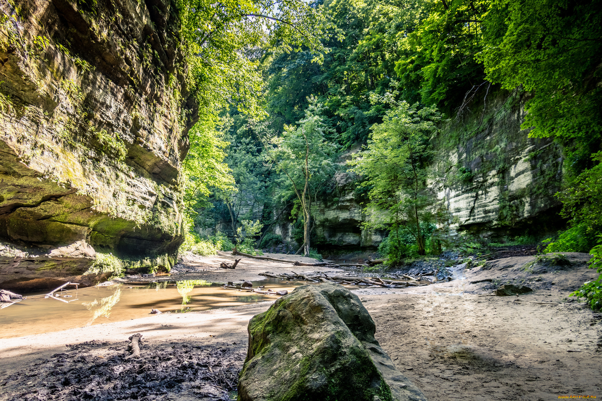 природа, реки, озера, простор