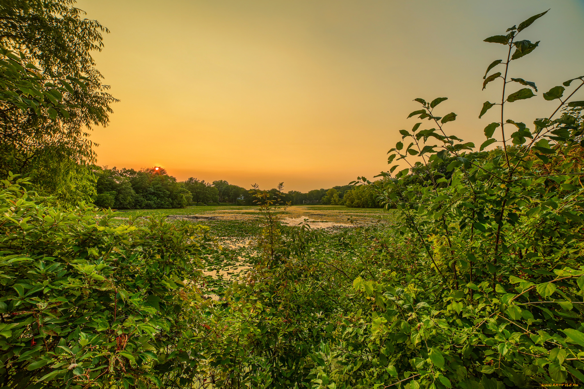 природа, реки, озера, простор