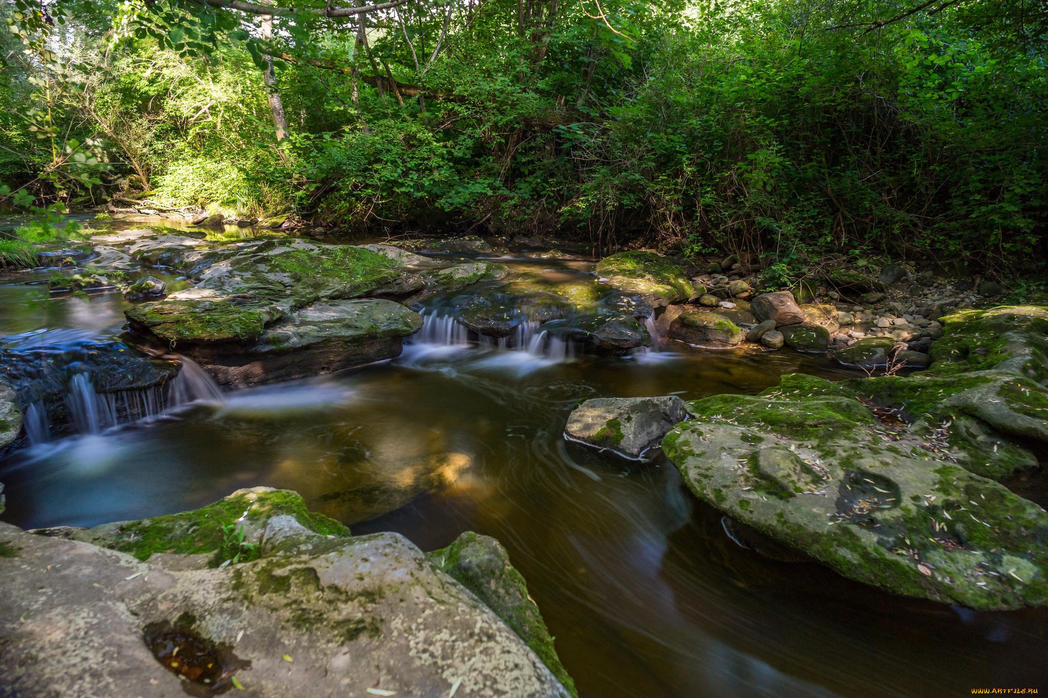 природа, реки, озера, простор